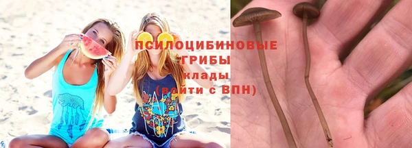 кристаллы Нязепетровск