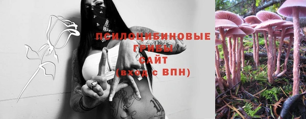 эйфоретик Новозыбков