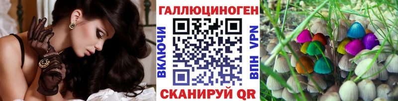 Псилоцибиновые грибы мицелий  Осинники 