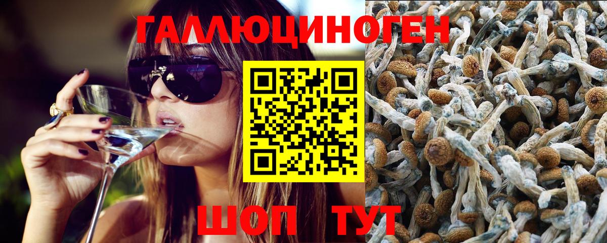 Осинники  Псилоцибиновые грибы мицелий  Вход с VPN  как найти наркотики  Псилоцибиновые грибы Magic Shrooms 